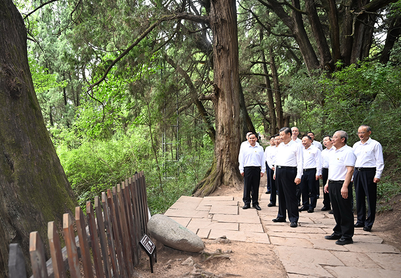 7月25日至27日，中共中央總書記、國(guó)家主席、中央軍委主席習(xí)近平在四川考察。這是25日下午，習(xí)近平在廣元市劍閣縣翠云廊考察。